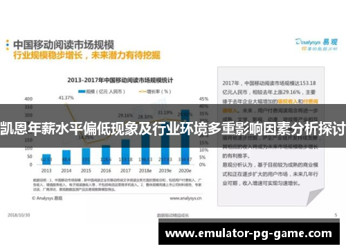 凯恩年薪水平偏低现象及行业环境多重影响因素分析探讨