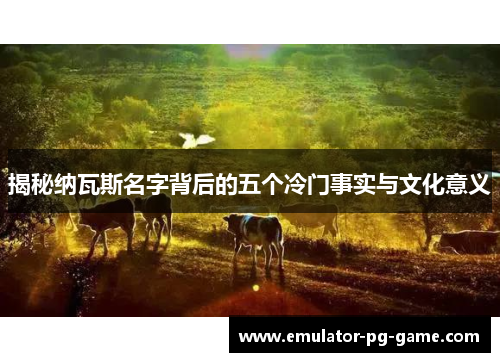 揭秘纳瓦斯名字背后的五个冷门事实与文化意义