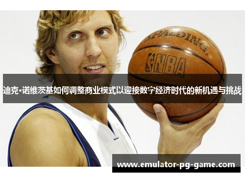 迪克·诺维茨基如何调整商业模式以迎接数字经济时代的新机遇与挑战