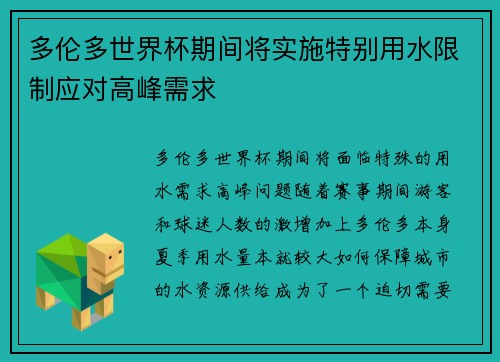 多伦多世界杯期间将实施特别用水限制应对高峰需求